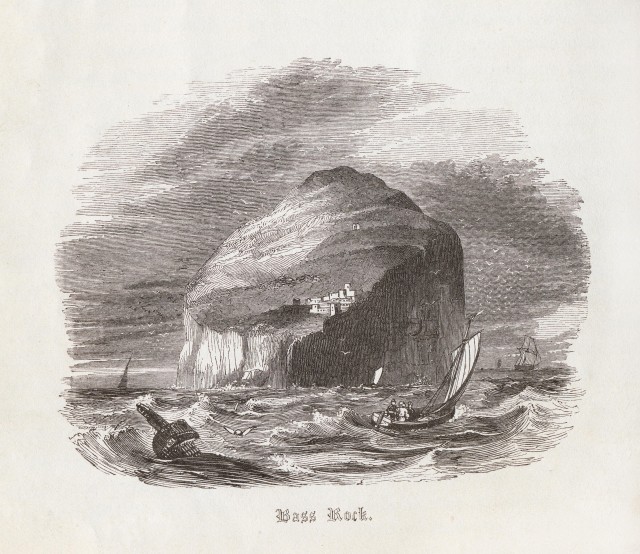 Bass-Rock-East-Lothian Bass Rock - East Lothian